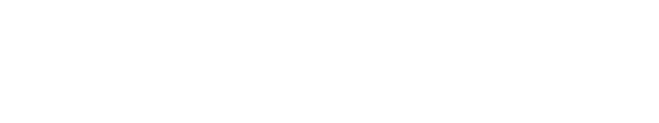 NetResults Logo